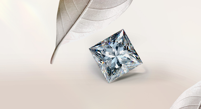 Princess Cut Diamond Guide